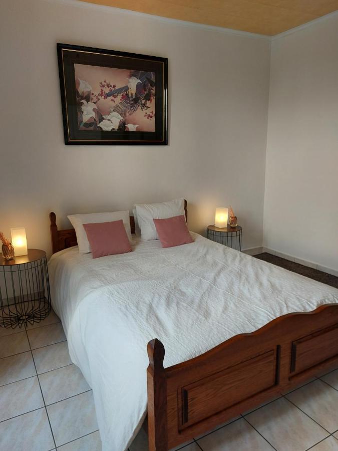 Appartement Rdc Plein Centre Avec Terrasse Visé エクステリア 写真