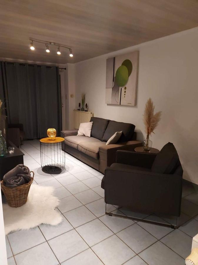 Appartement Rdc Plein Centre Avec Terrasse Visé エクステリア 写真